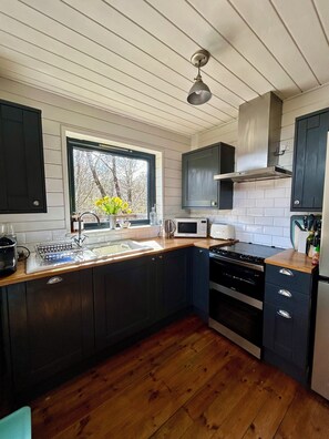 Fridge, microwave, dishwasher, coffee/tea maker