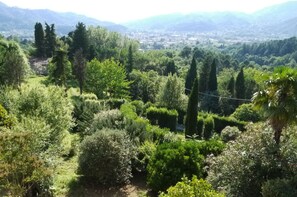 Un jardin luxuriant, avec une variété d’arbres et d’arbustes, un sentier sinueux et une vue lointaine sur une ville.