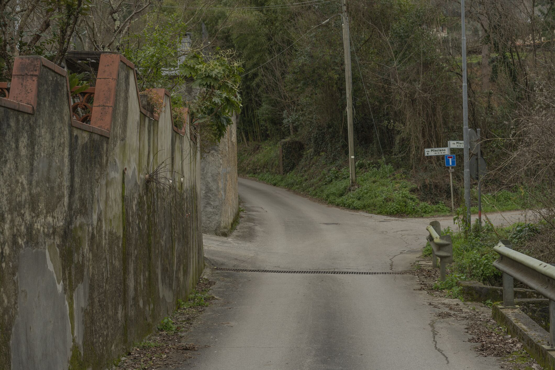 A narrow road flanked by a concrete wall with metal railings and a metal gate.