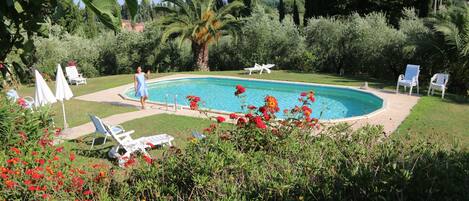A swimming pool surrounded by lush greenery and white lounge chairs.