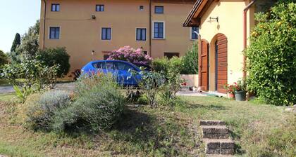 Bauernhof Poggio al Tesoro - Apartment Gelsomini