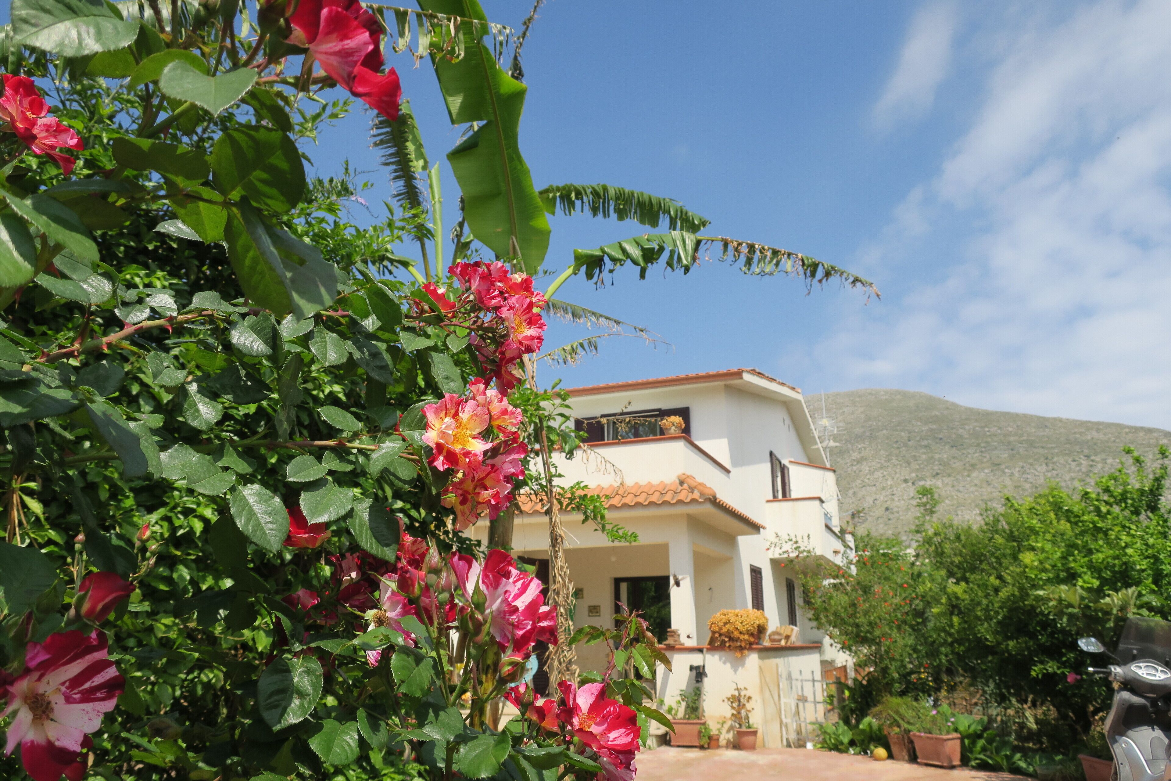 Betty's Rose Garden, with garden in 2-storey villa. CIR: 19082053C205123