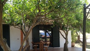 Un espace extérieur aménagé, abrité et doté de tables et de chaises, entouré d’arbres et bordé d’un bâtiment dont le mur est blanc et les volets noirs.