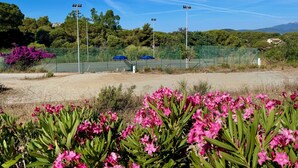 Ein Tennisplatz mit umgebender Bepflanzung und blauem Himmel.