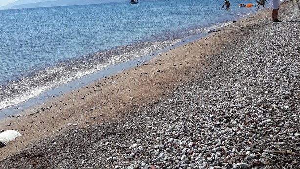 A pebbled beach with clear water and distant mountains.