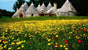 A row of stone buildings with conical roofs, set in a field of yellow flowers. - Trullo in the woods, a few steps from a hiking and cycling trail (Cisternino)