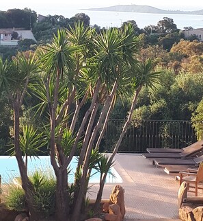 Pool - Perfect Holiday! Apartment with view and close to the beach, quiet 6000 m² (Porto-Vecchio)