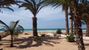 Une plage de sable bordée de palmiers, offrant une vue dégagée sur l’océan.