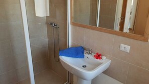 Ducha, secador de pelo y toallas