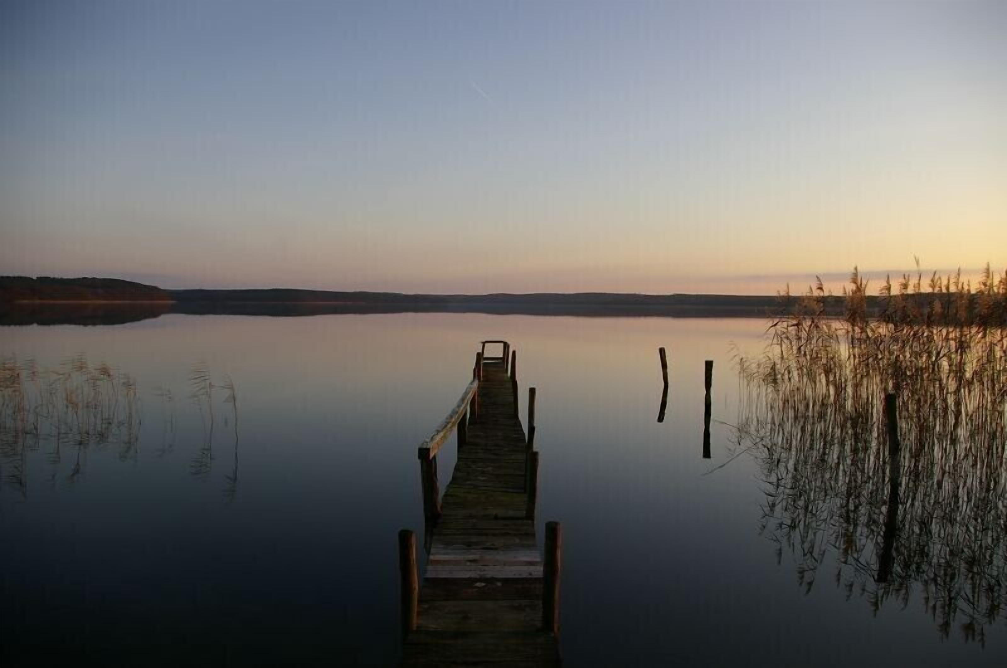 A wooden pier extending into calm water with reeds on either side.