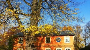 Ein zweistöckiges Gebäude mit roter Fassade und einem großen Baum davor.