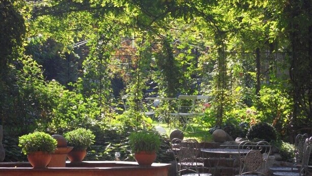 Eine Terrassenanlage im Freien mit Tischen und Stühlen, umgeben von üppiger Bepflanzung und Blumentöpfen.