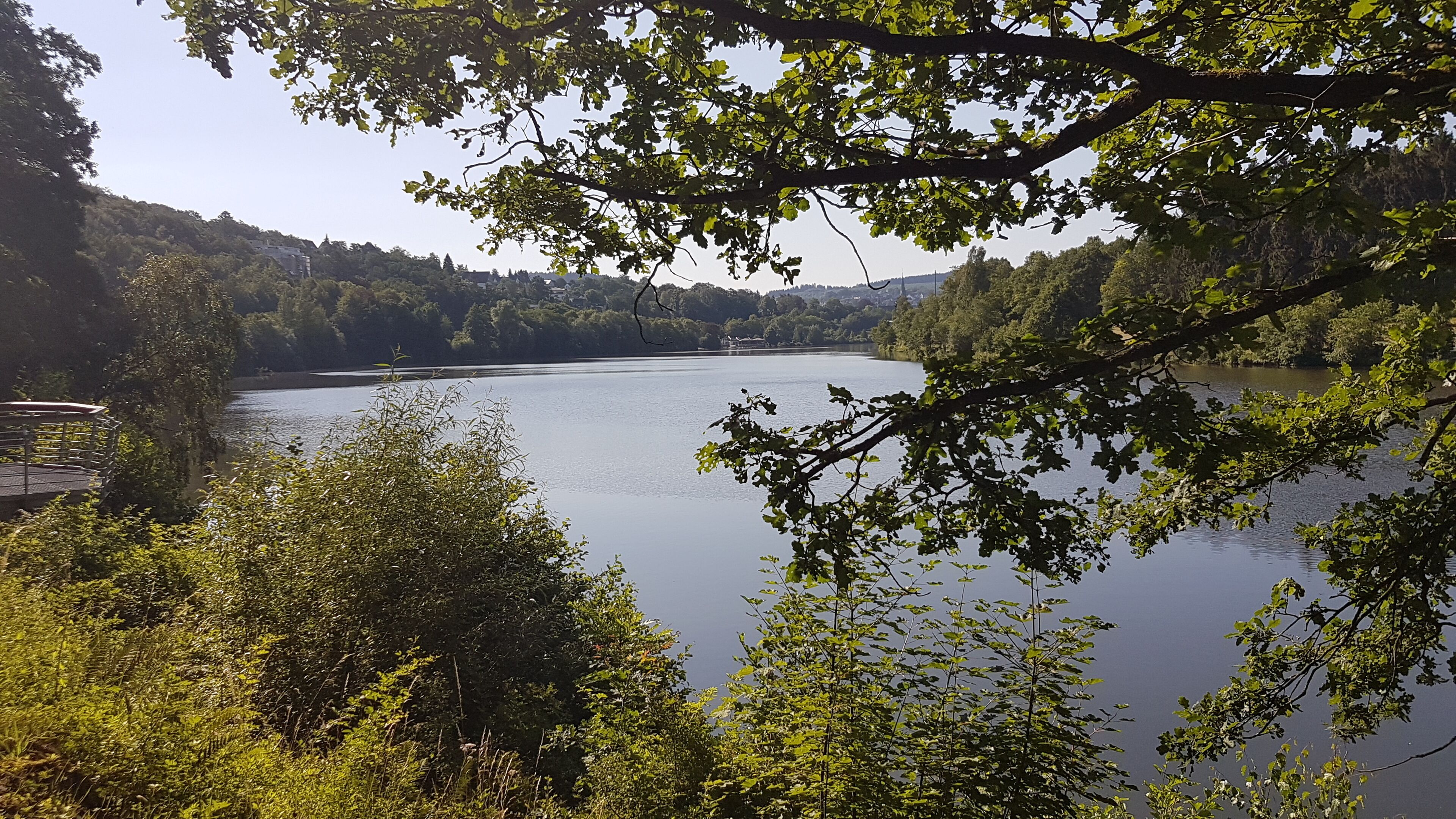 Un lago rodeado de un bosque denso y colinas.