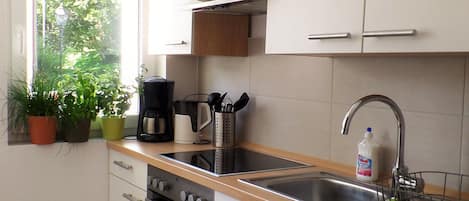 Fridge, oven, stovetop, dishwasher