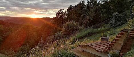 Overnatningsstedets område