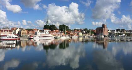 Vacation in the listed thatched-roof half-timbered house "Rikate" in Kappeln on the Schlei, high-quality and with a view of the Schlei in the home of the country doctor