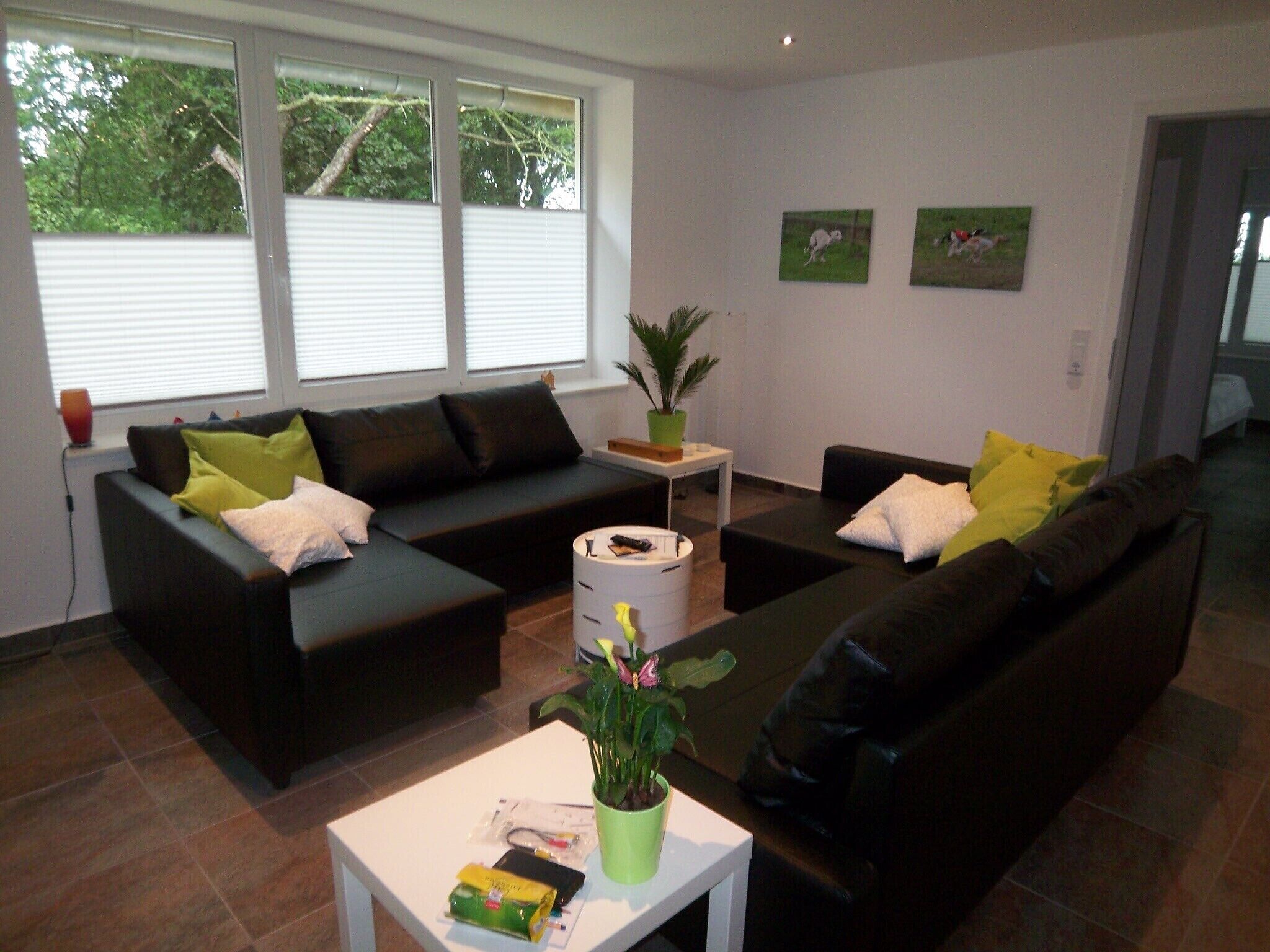 NEW 2015: apartment 8 000 sqm with dog walkers, in Cottage, ground floor, 70sqm