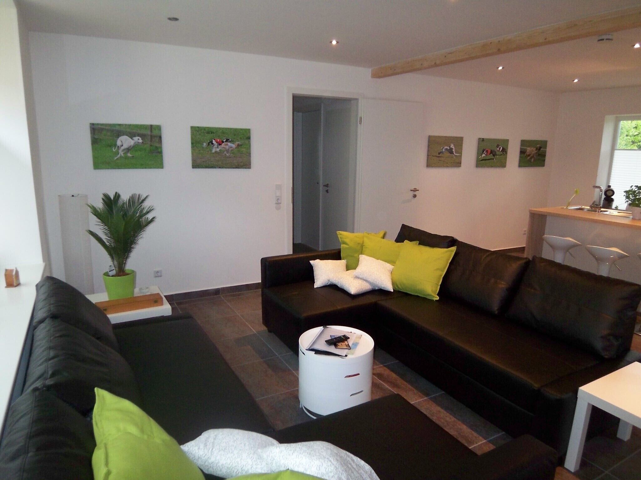 NEW 2015: apartment 8 000 sqm with dog walkers, in Cottage, ground floor, 70sqm
