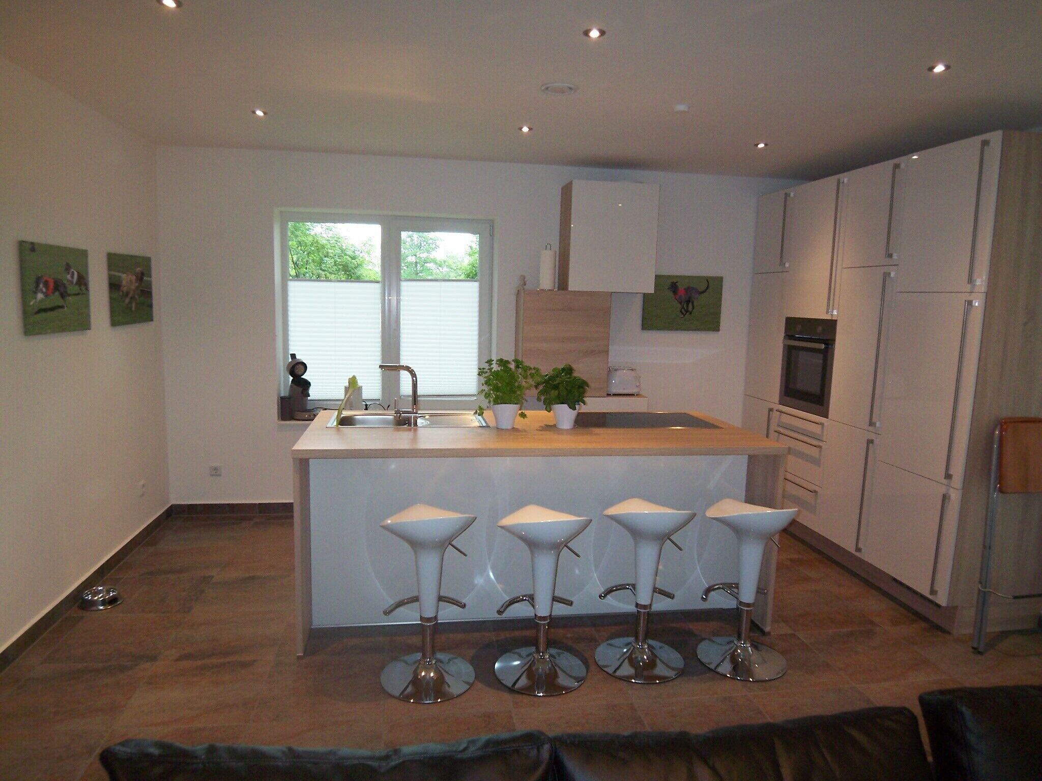 NEW 2015: apartment 8 000 sqm with dog walkers, in Cottage, ground floor, 70sqm