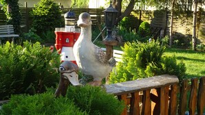 Un jardin orné d’une statue d’oie et d’un canard, entouré de verdure et délimité par une clôture en bois.
