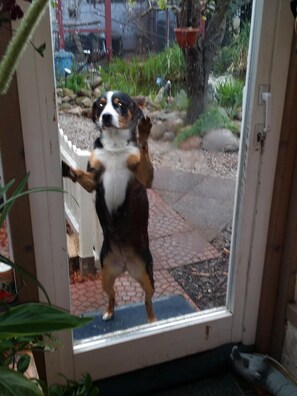 Interior - Apartment Spree Idyll for 2 pers. near garden pond own terrace quiet (Lübbenau)