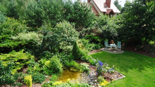 Un jardín bien cuidado con un estanque, diversas plantas y césped.