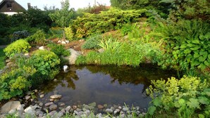 Un jardín con un estanque, rocas y diversas plantas.
