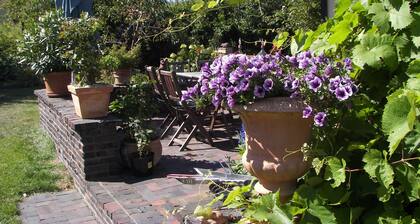 Apartment Sunline in nature near Gdansk for 4-6 persons