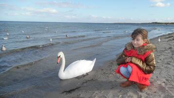 In Strandnähe, Liegestühle
