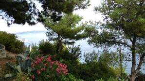 Un jardin avec différentes plantes et arbres, un plan d’eau en arrière-plan et une vue lointaine sur les bâtiments d’une ville.