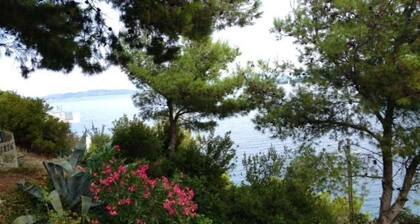 Holiday Home in Sali with Seaview, Terrace (4420-1)