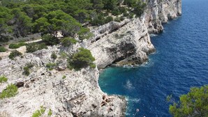 Une falaise côtière au terrain rocheux, recouverte d’une végétation verte et luxuriante.