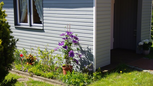 A house with a front porch, a window with a curtain, and a garden with various plants and flowers. - Exclusive Friesenhaus * * * * * with sea views, sauna, wireless, disabled (Husum/Schobüll)