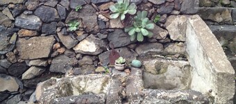 Newly restored in 2012, rural environment, fully connected, very well connected