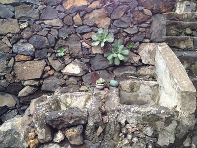 Casa las Escaleritas, ¡todo lo que imaginas y más!