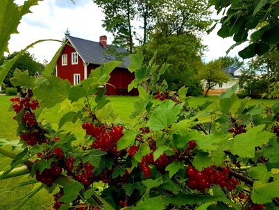 Pure relaxation in the Klavreström vacation home with canoe!