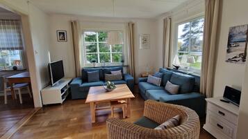 TV, fireplace, DVD player, books