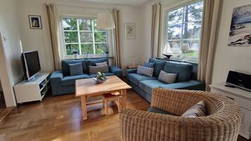 TV, fireplace, DVD player, books