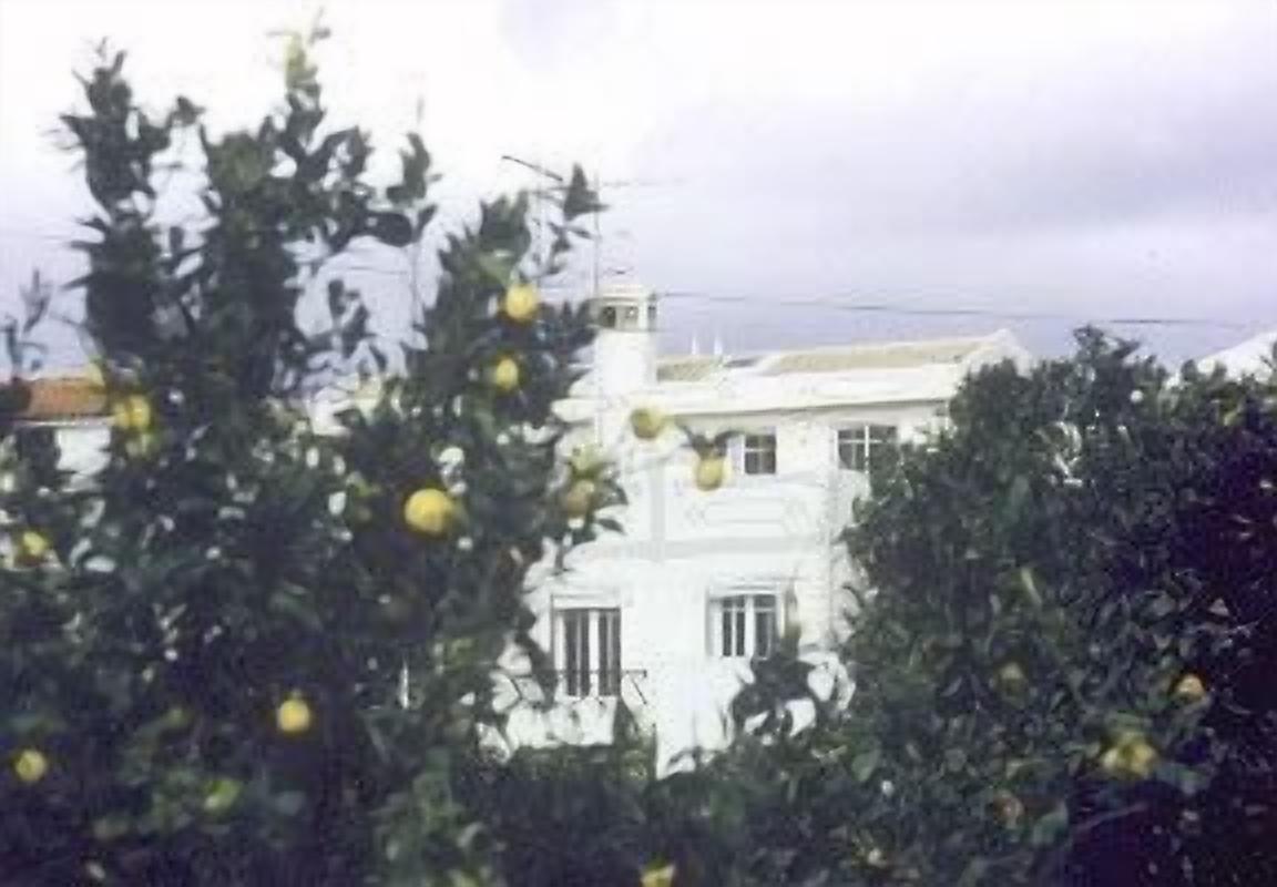 The house is located at the edge of town, close to the sea