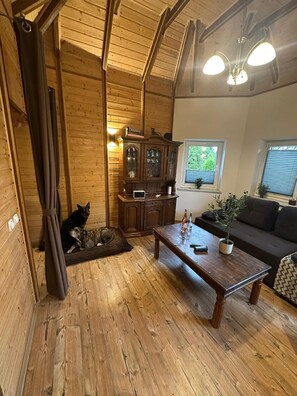电视、壁炉