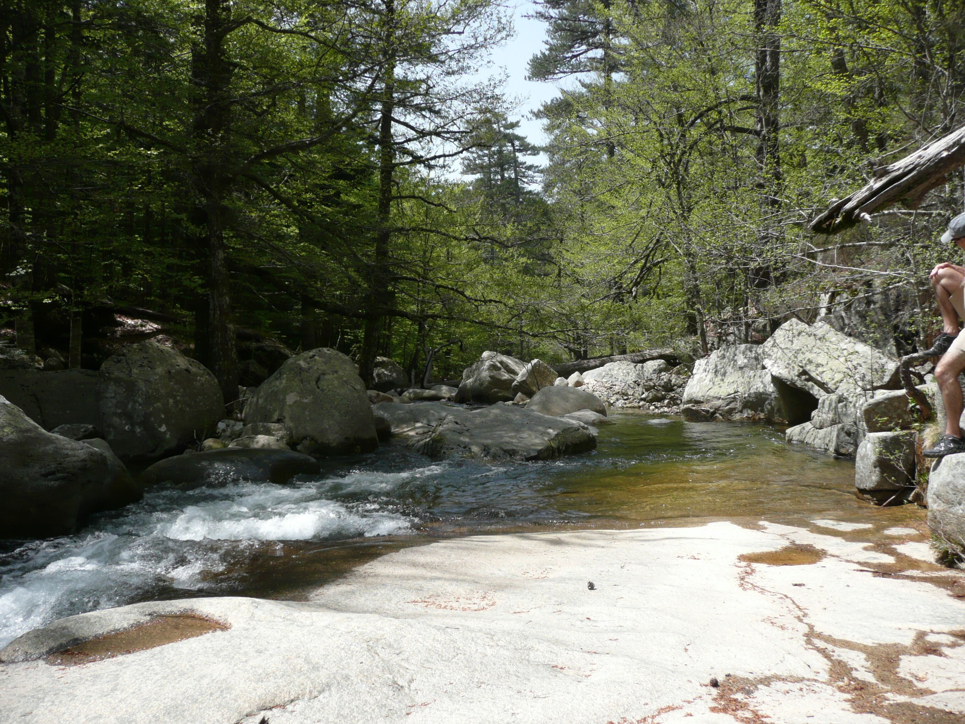 A natural outdoor setting with a flowing stream, large rocks, and dense trees.