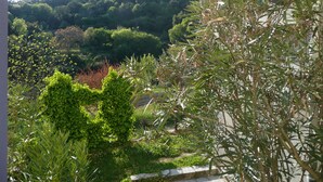 A lush garden with various plants and trees, a stone pathway, and a view of a hillside in the background. - House redone in VICO- WIFI- 15mns Beaches of SAGONE (Vico)