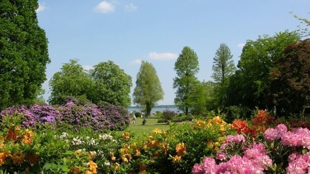 A garden with various flowers and trees, a clear sky, and a lake in the background.