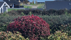 Et boligområde med huse, en golfbane og havudsigt.
