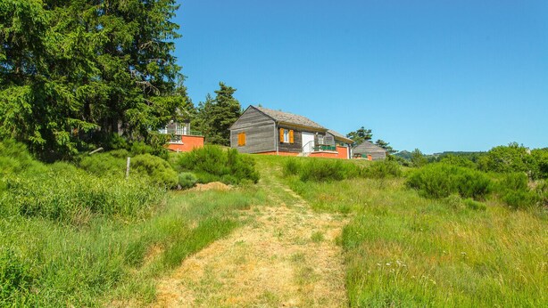 Una casa con un sendero de tierra que lleva a ella, rodeada de follaje y árboles.