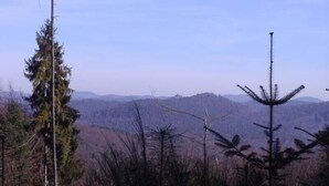 A forested landscape with a clear view of distant hills. - highland cottage (Grendelbruch)