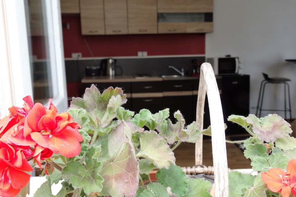 Beautiful studio between Chateau and Loire