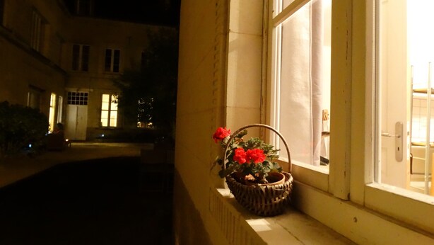 A nighttime view of a building with a window sill holding a basket with red flowers. - Beautiful studio between Chateau and Loire (Saumur)