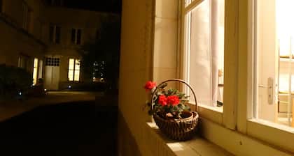 Beautiful studio between Chateau and Loire