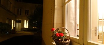 Beautiful studio between Chateau and Loire